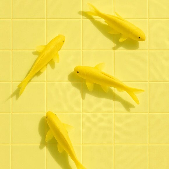 Minimalist Yellow Koi Fish Art Print - Picture 1 of 1